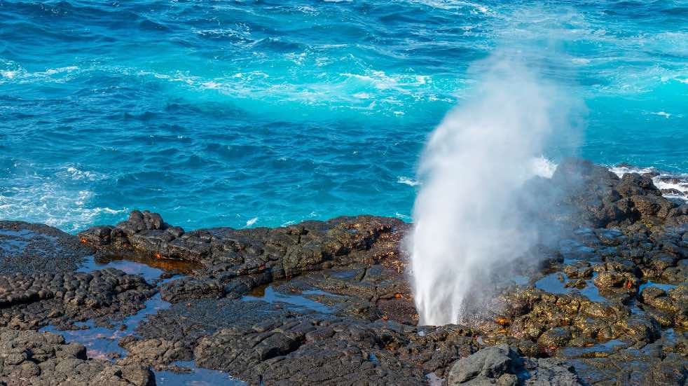 Galapagos Islands blower